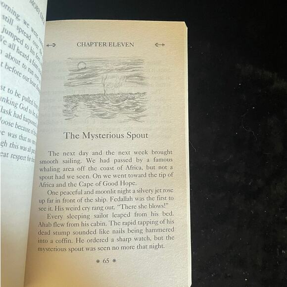 Moby Dick by Herman Melville | 2012 | Junior Classic for Young Readers - Picture 9 of 10